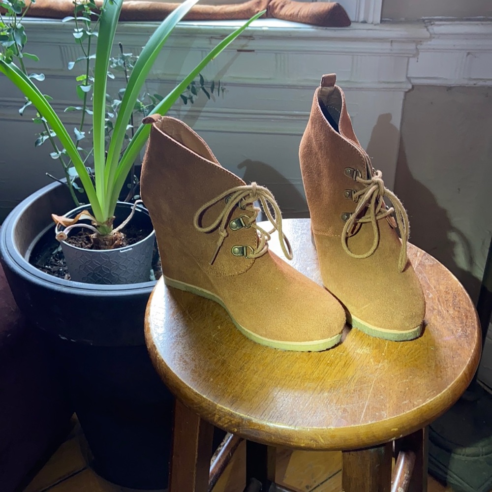 Steve Madden Booties